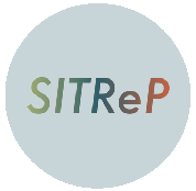 Simulation Instructor Training for Rehabilitation Professionals (SITReP)