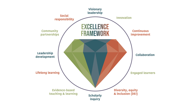 Excellence framework for academic physical therapy