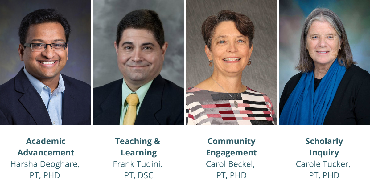 ACAPT Institute chairs