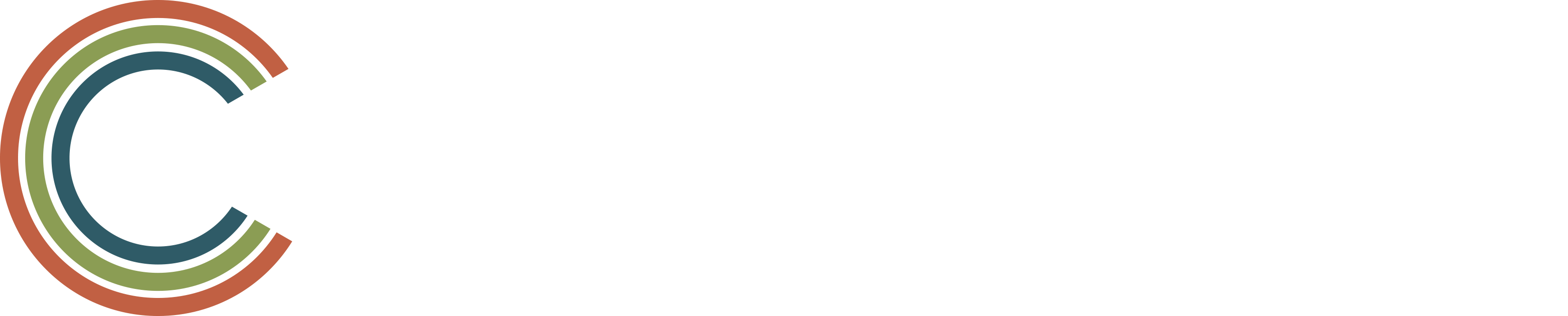 Center for Excellence in Physical Therapy Logo